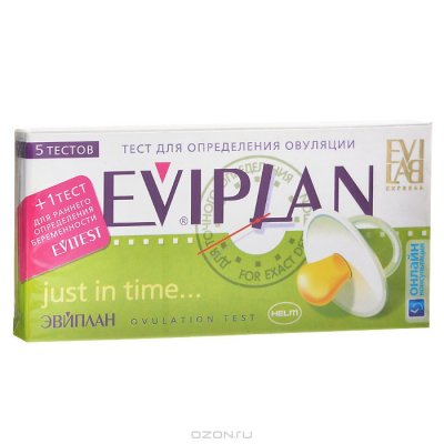    Eviplan  "Just In Time"   , 5 