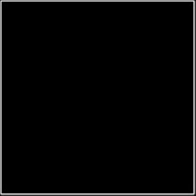    Raylab RBGN-2050-BLACK