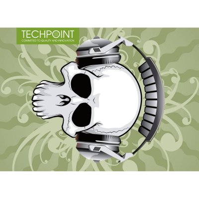     Techpoint Skull life   13x18 