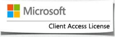    Microsoft Windows Server Remote Desktop Services CAL 1 User 1 year
