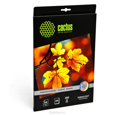    Cactus (CS-SGA426020) Professional, , A4, 260 / 2, 20 