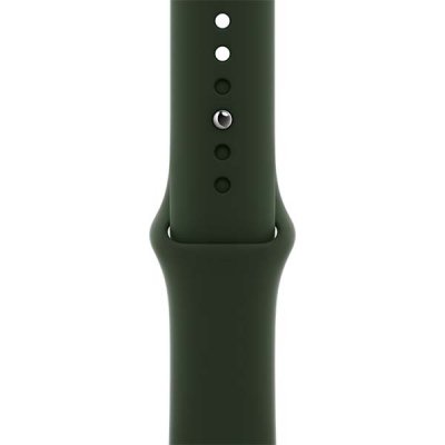    Apple 40mm Cyprus Green Sport Band (MG423ZM/A)