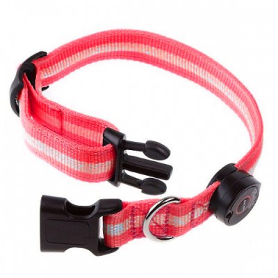       Bradex LED Dog Collar S TD 0172