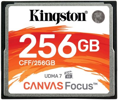     Kingston CFF/256GB
