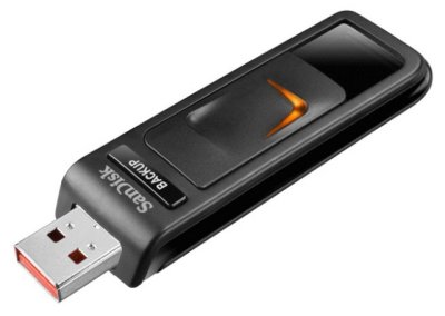   32Gb SanDisk Ultra Backup (SDCZ40-032G), USB2.0,   , RTL