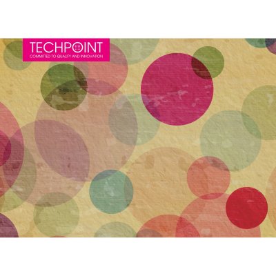     Techpoint Expression balls   13x18 