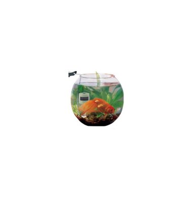   Garmin Aquael    GOLD FISH 27  8,5  (   , )
