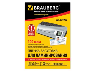      BRAUBERG 100  100  530903