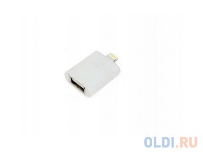     Lightning 8pin/USB(f) 794528