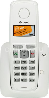   / Gigaset A220 (White) (   ., ) -DECT, , 