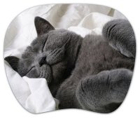      PC PET MP-TOM TURBO Grey cat [MP-TMGC TURBO (GREY CAT)]
