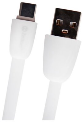    Zetton Flat Glossy USB - USB Type-C 1  