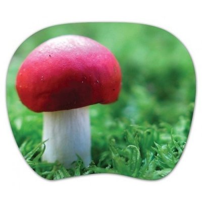      PC PET MP-TOM TURBO Mushroom [MP-TMMU TURBO (MUSHROOM)]