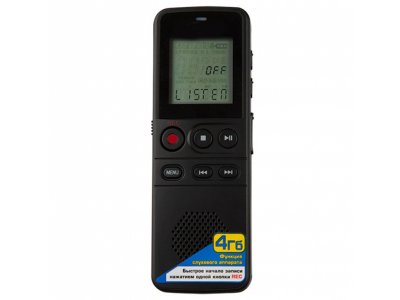 Товар почтой Цифровой диктофон Ritmix RR-810 8Gb черный