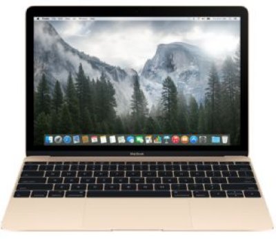    Apple MacBook 12" Gold MK4M2C1RU/A (Z0RW)