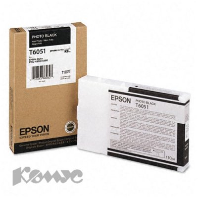   T605100 EPSON   -  Stylus Pro 4880 (110 )