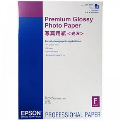      Epson Premium Glossy Photo Paper