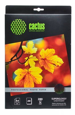    A4 CACTUS Professional CS-SGA428020