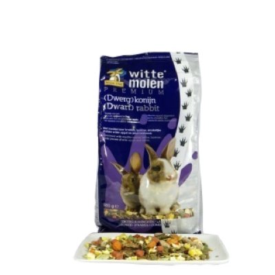   Witte Molen        Premium (Dwarf) Rabbit