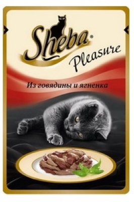   85  SHEBA 85      Pleasure     () YH853/7059