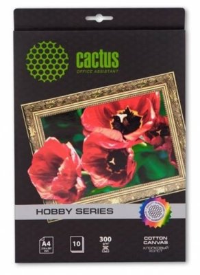    Cactus CS- A426010 A4/300 / 2/10 .   