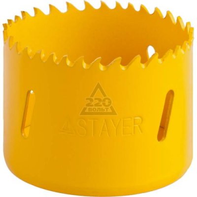      PROFESSIONAL (60  38 ; 5/8"") STAYER 29547-060
