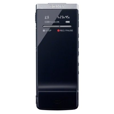 Товар почтой Sony ICD-TX50