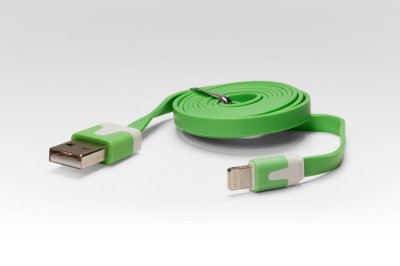     iQFuture Lightning to USB Cable for iPhone 5/iPod Touch 5th/iPod Nano 7th/iPad 4/iP