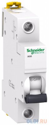     Schneider Electric iK60 1  40A C A9K24140
