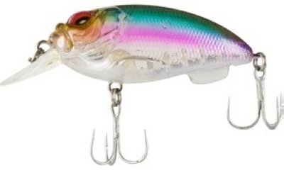    Trout Pro Deep Water 55F  36519  12 13 