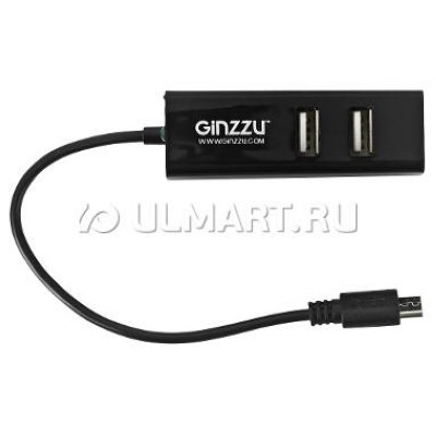    USB 2.0 Ginzzu GR-564UB OTG,  SD/microSD