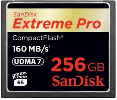     SanDisk SDCFXPS-256G-X46