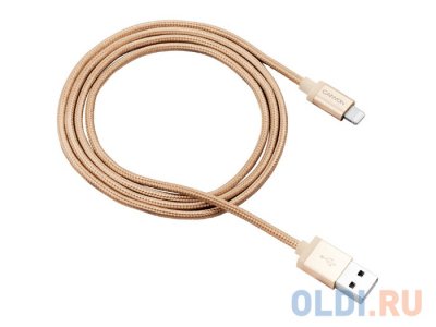    Apple Lightning/USB 1.2  Canyon CNS-MFIC3GO  (MFI)