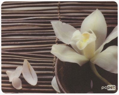      PC PET AM02 Orchids