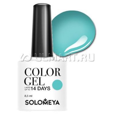   -   Solomeya Colors of Spring - Color Gel Fresh Mint SCG_080  , 8.5