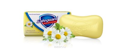   Safeguard   , 90 
