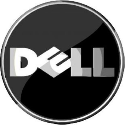    Dell PERC H300