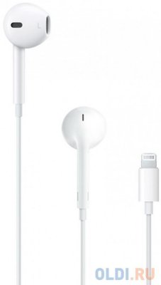      APPLE EarPods with Lightning Connector (MMTN2ZM/A)