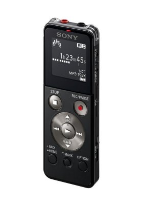 Товар почтой Цифровой диктофон Sony ICD-PX333M 4Gb черный с микрофоном