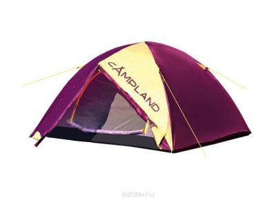    Campland Hornet 2 Violet-Yellow