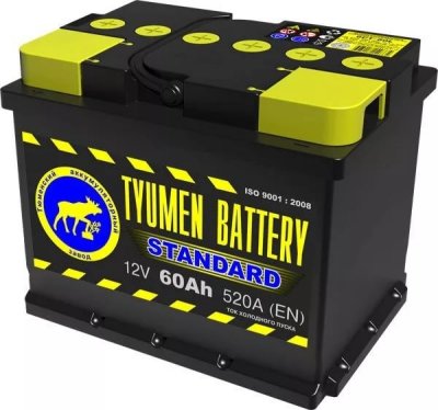    TYUMEN Battery Standard 6CT-60L0   60 