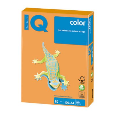     IQ Color (A4, 80 /², CR20-, 100 )