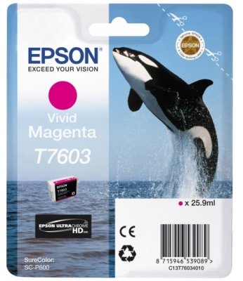     Epson SureColor SC-P600 (C13T76034010) ()