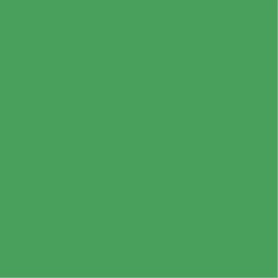    Colorama 2.72x11m Chroma Green CO133