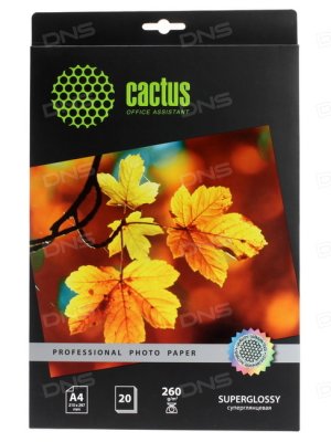    Cactus (CS-HGA426020) Professional, , A4, 260 / 2, 20 