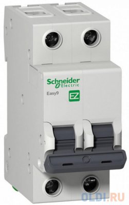     Schneider Electric EASY 9 2  10A C EZ9F34210