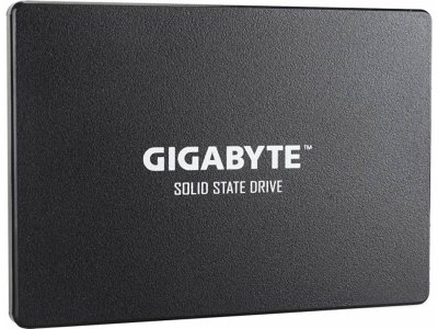   240Gb - GigaByte GP-GSTFS31240GNTD