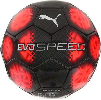     Puma "evoSPEED 5.5 Fade ball", : , , .  5