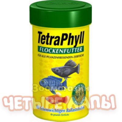      TetraPhyll () 12    