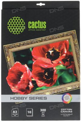    Cactus CS- A326010 A3/300 / 2/10 ./   